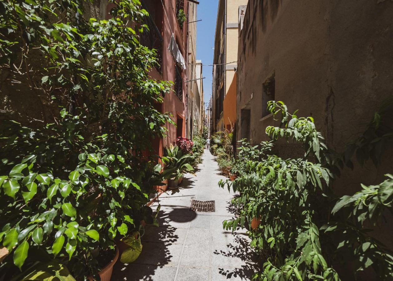 Domus De Gorga - Your Sardinian Apartment Cagliari Luaran gambar